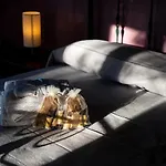Bed & Breakfast Maracuja 4*