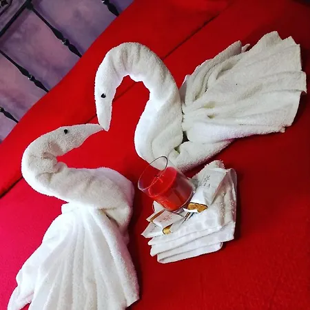 Maracuja Frühstückspension Jonadi