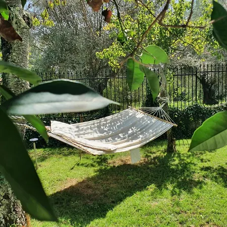 Maracuja Bed & Breakfast Jonadi