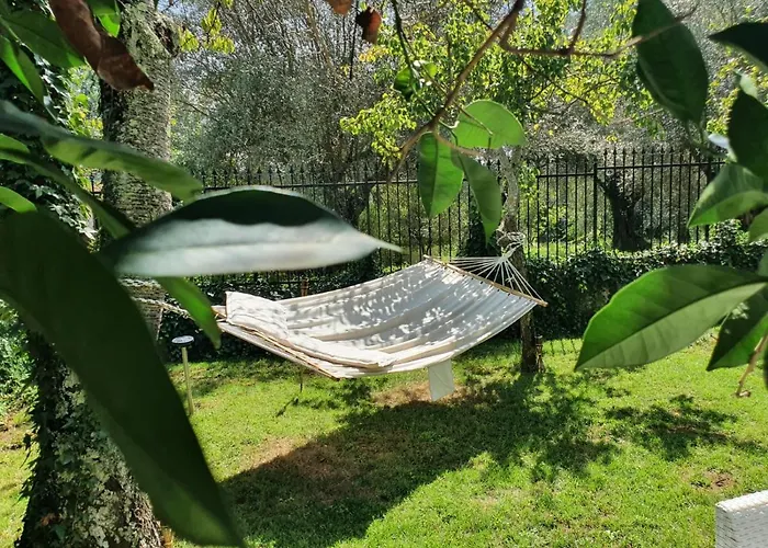 Maracuja 住宿加早餐酒店 Jonadi