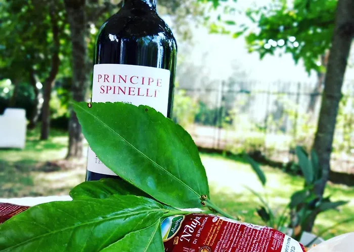 Maracuja 住宿加早餐酒店